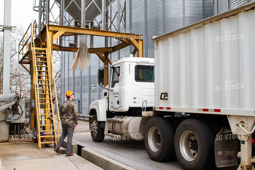 Semi at Grain Elevator 79188