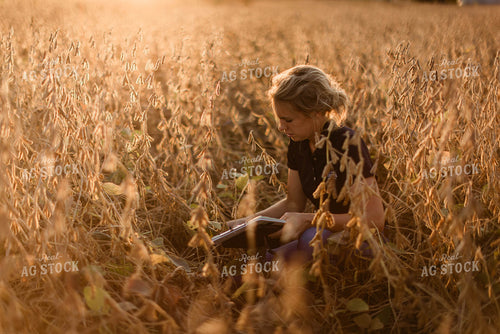 Female Agronomist Checking Beans 8314