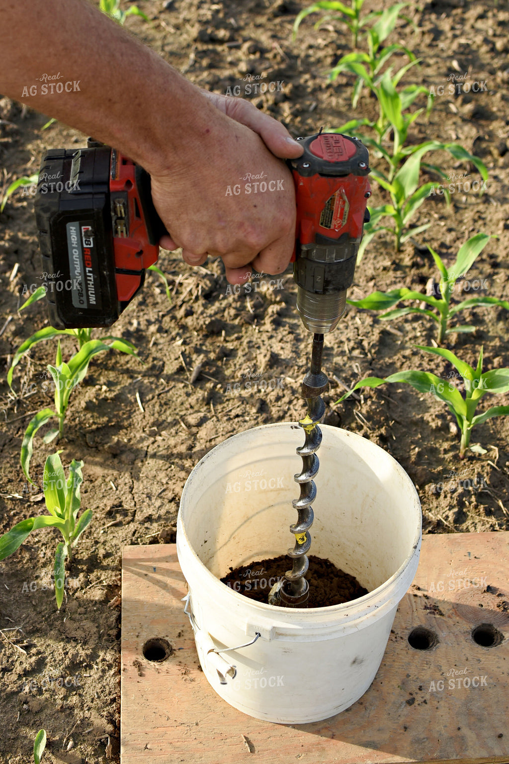 Soil Sampling 100045 – Real Ag Stock