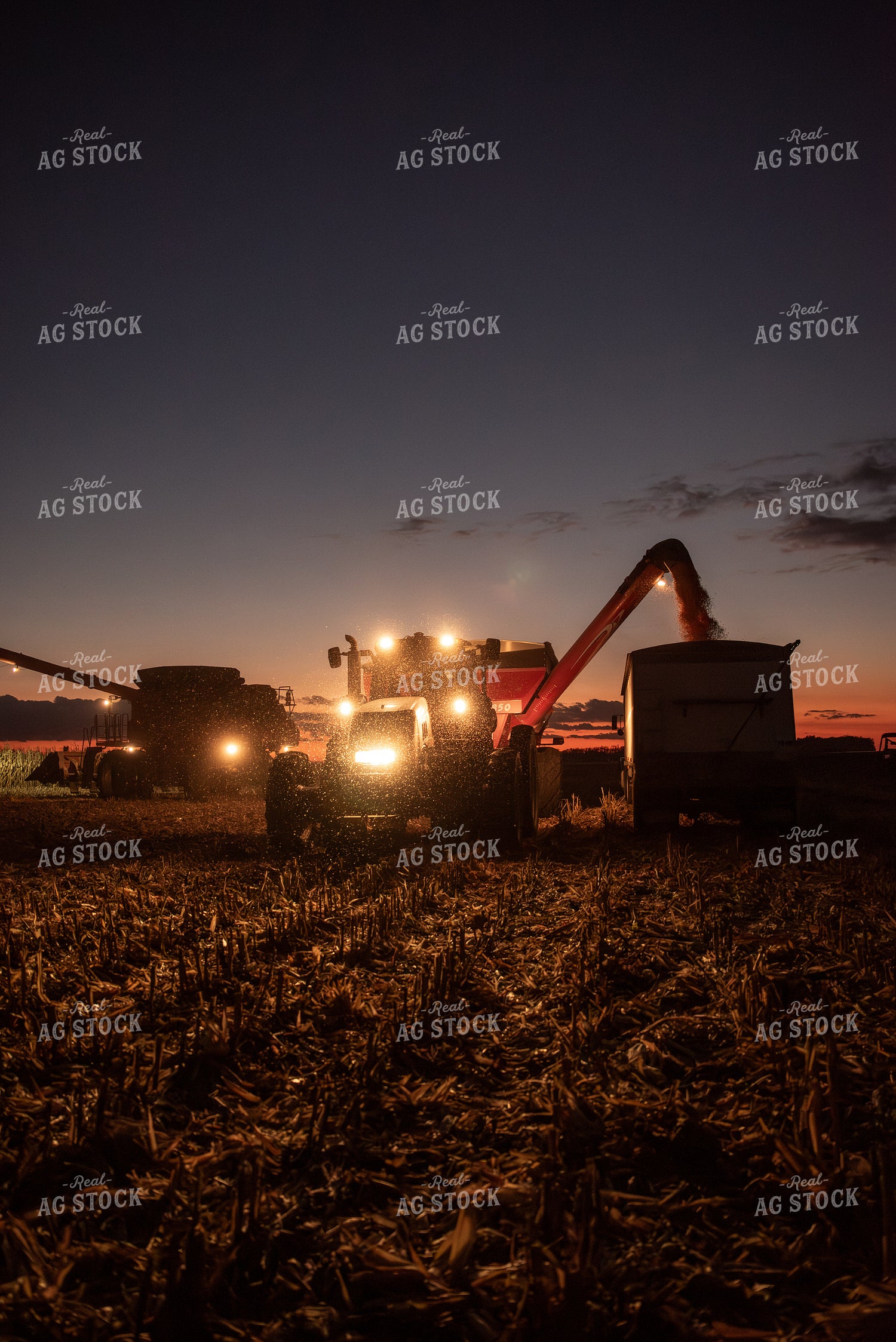 Corn Harvest 76552