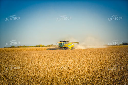 Soybean Harvest 153036