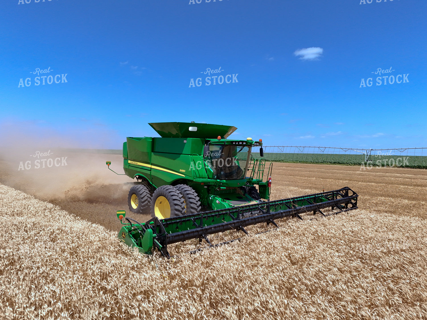 Wheat Harvest 239273