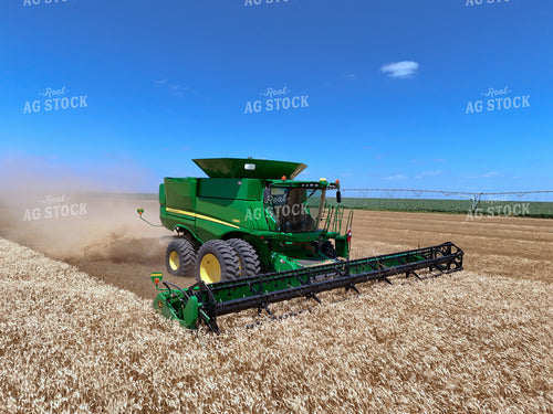Wheat Harvest 239273
