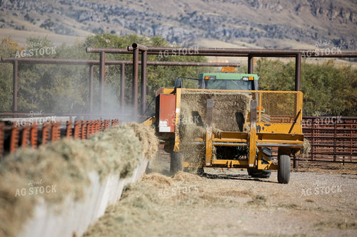 Feeding Cattle 275016