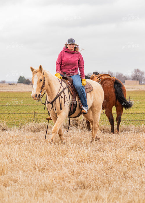 Rancher on Horseback 231073