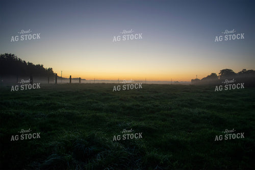 Foggy Pasture at Dawn 50063