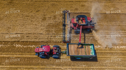 Wheat Harvest 199049