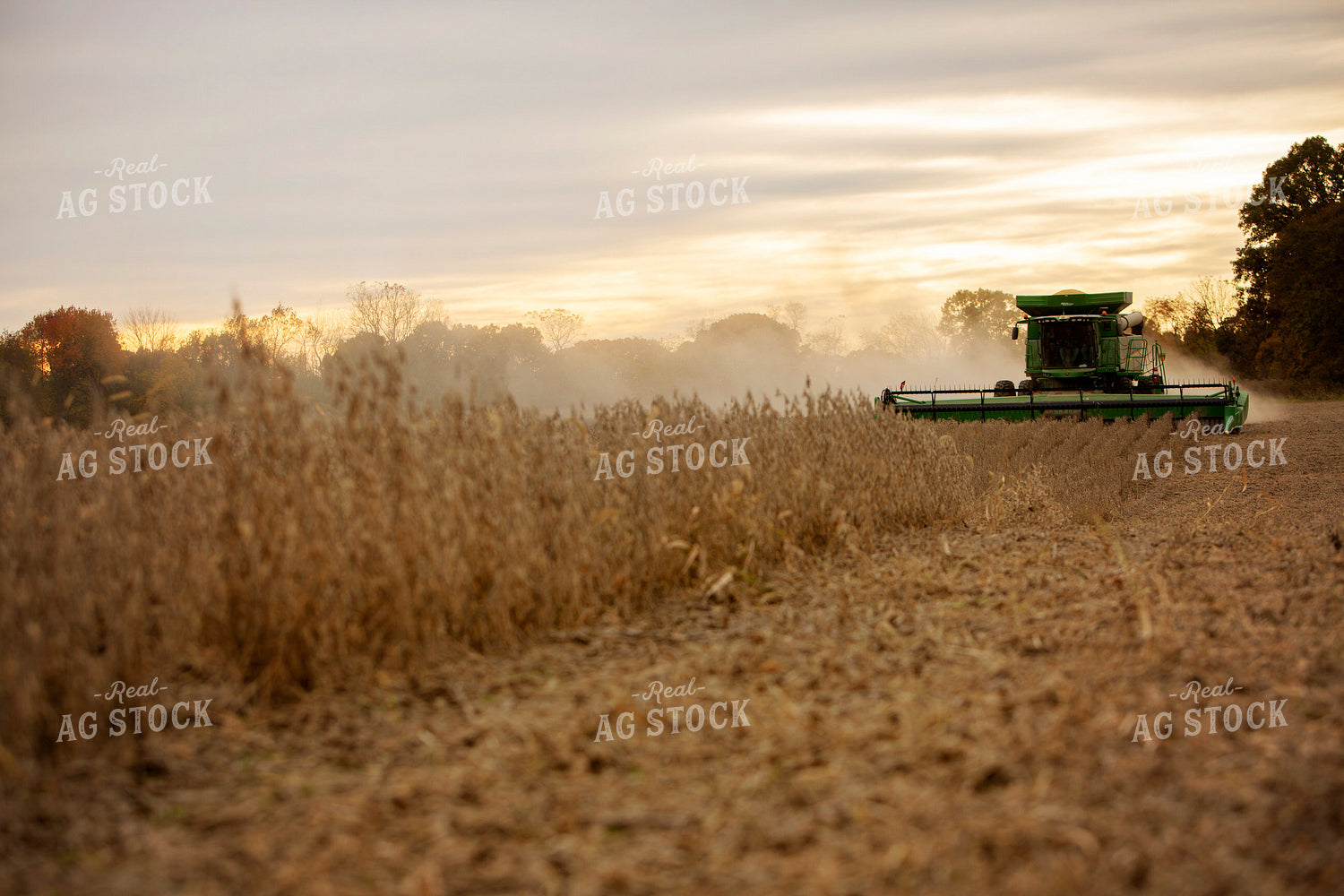 Harvest 2621