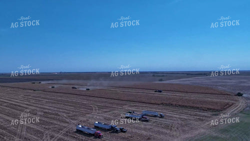 Aerial of Corn Harvest 239021