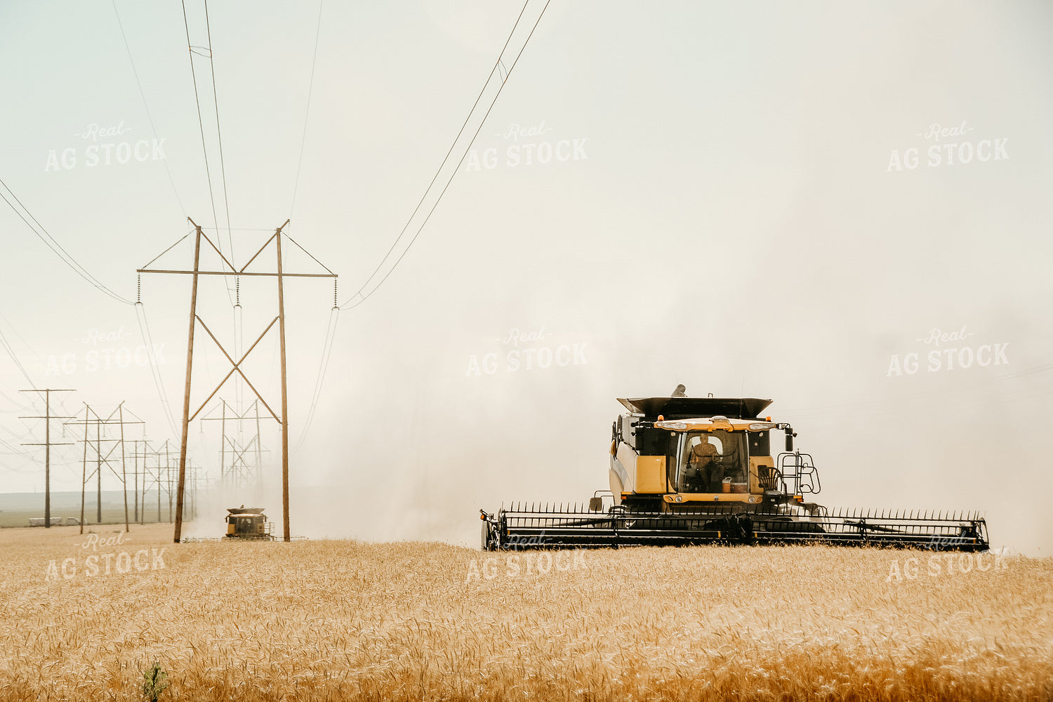 Combine Threshing Wheat 64090