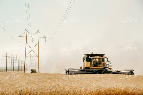 Combine Threshing Wheat 64090