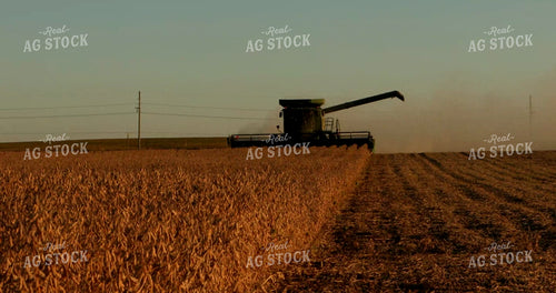 Combine Harvesting Soybeans 5394