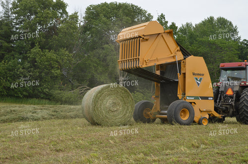 Baling Hay 206030