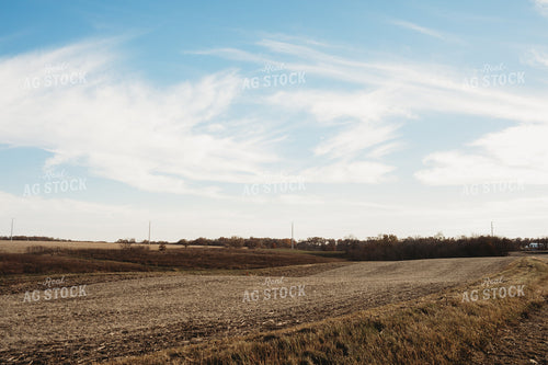 Harvested Bean Field and Terrace 3587