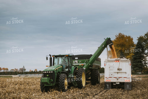 Corn Harvest 8596