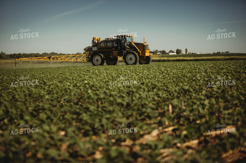 Spraying Soybeans 4359