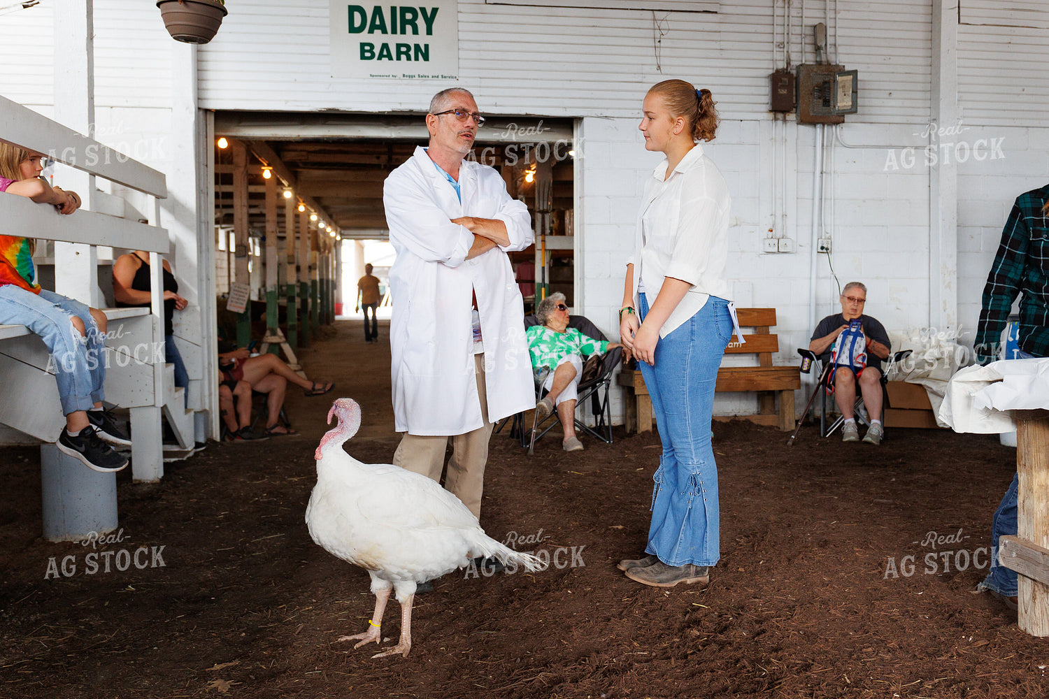 Showing Turkeys 52776