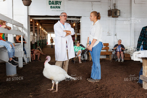 Showing Turkeys 52776