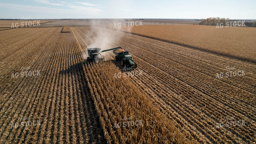 Corn Harvest 114011