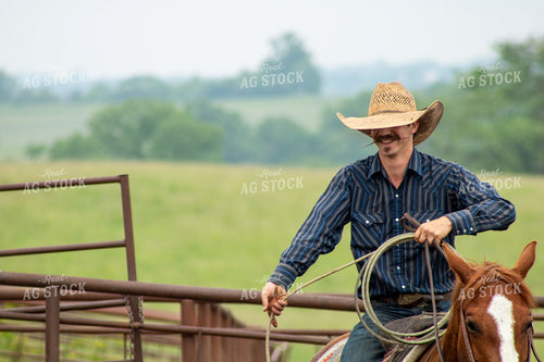 Rancher Roping Cattle 214172