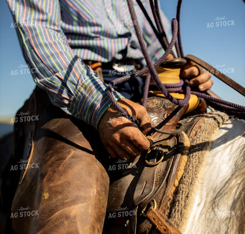 Rancher Hands with Rope on Saddle 71001