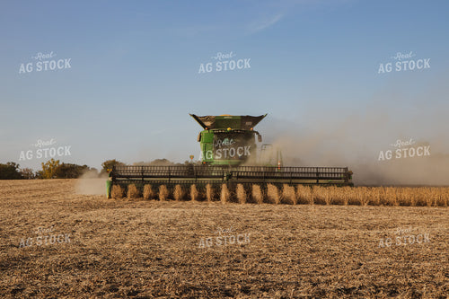 Soybean Harvest 67269