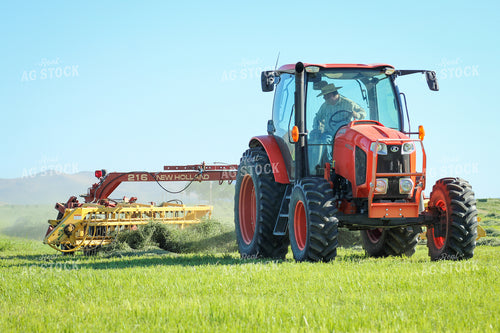 Raking / Windrowing Summer Hay Alfalfa and Mixed Grass 78136