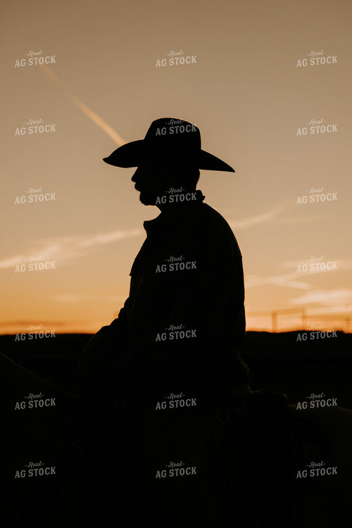 Cowboy Silhouette 61212
