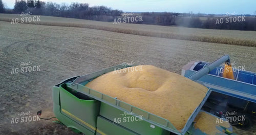 Aerial of Corn Harvest 250014