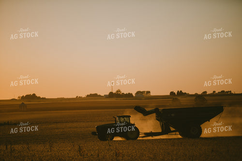 Tractor and Grain Cart Silhouette in Soybean Field 4750