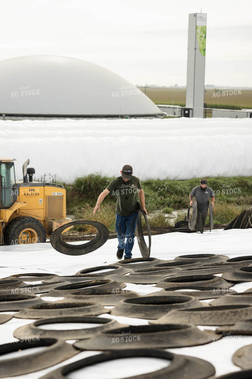 Storing Corn Silage 296015