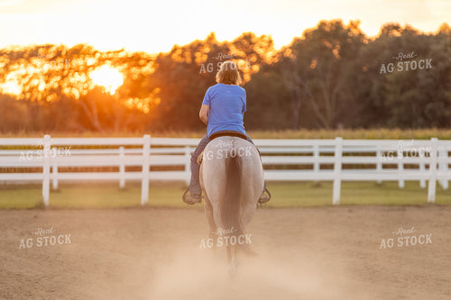 Riding Horse 90127