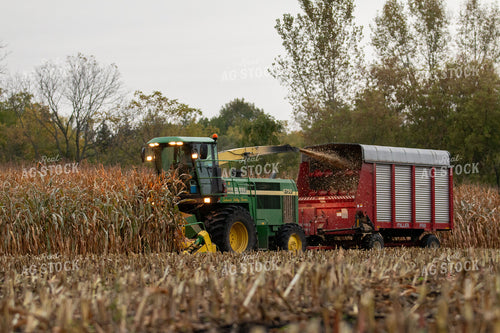Harvesting Corn Silage 157104