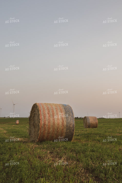 Round Bales 67823