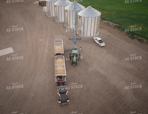 Unloading Harvested Grain 135049