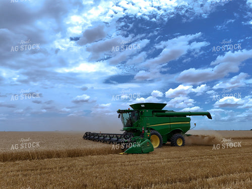 Wheat Harvest 239275