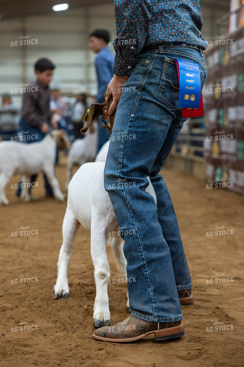 Showing Goats  98048