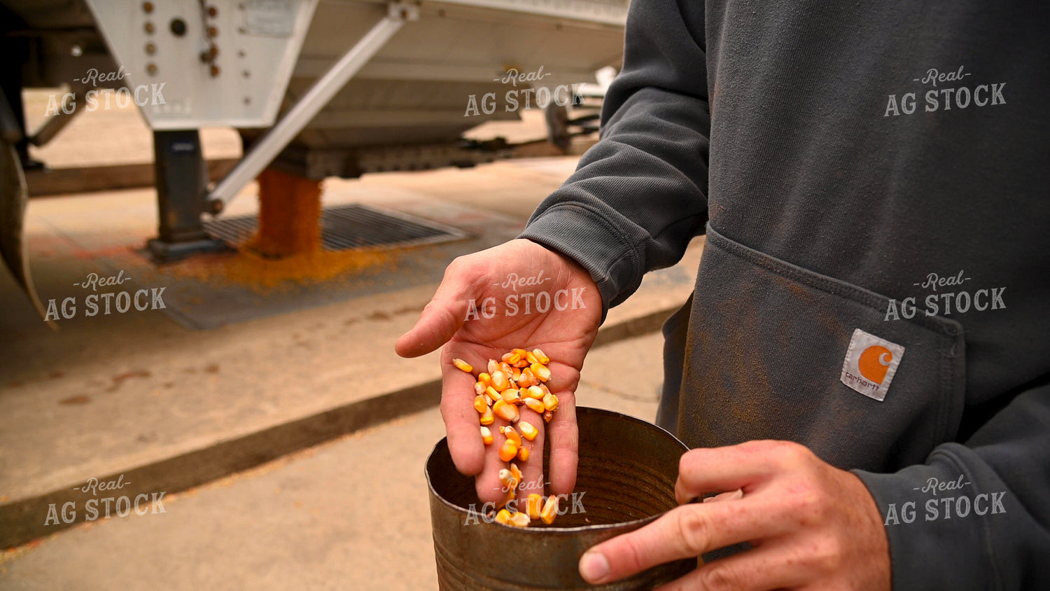 Farmer Testing Corn Moisture On-farm Storage 25614