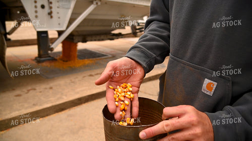 Farmer Testing Corn Moisture On-farm Storage 25614