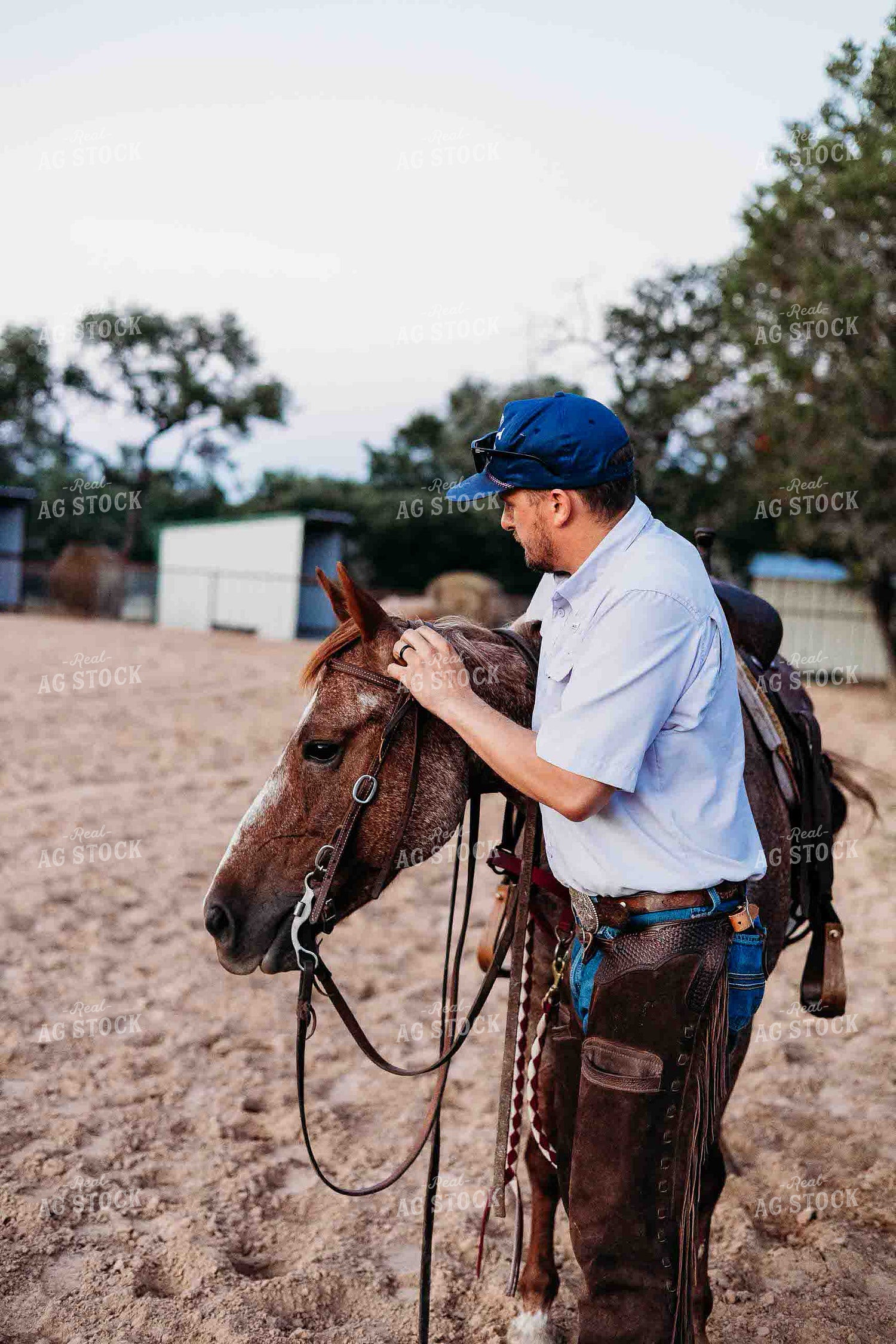 Cowboy and Horse in Arena 281086