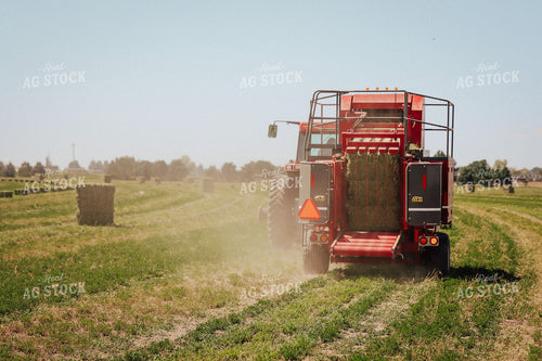Baling Hay 83075