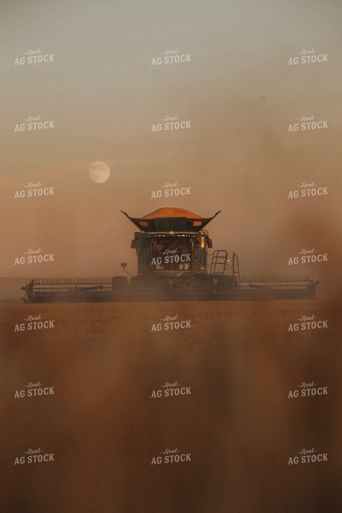 Harvest at Sunset 187381