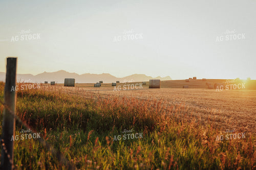Hay Bales in Foothills 83086