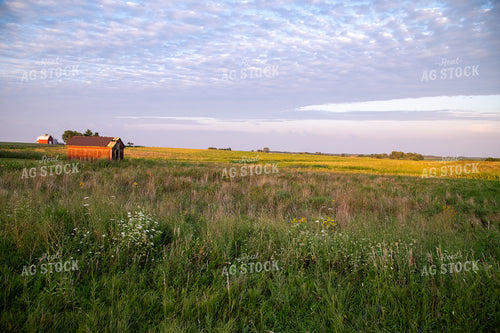 Red Barn at Sunset off CRP Land 25022