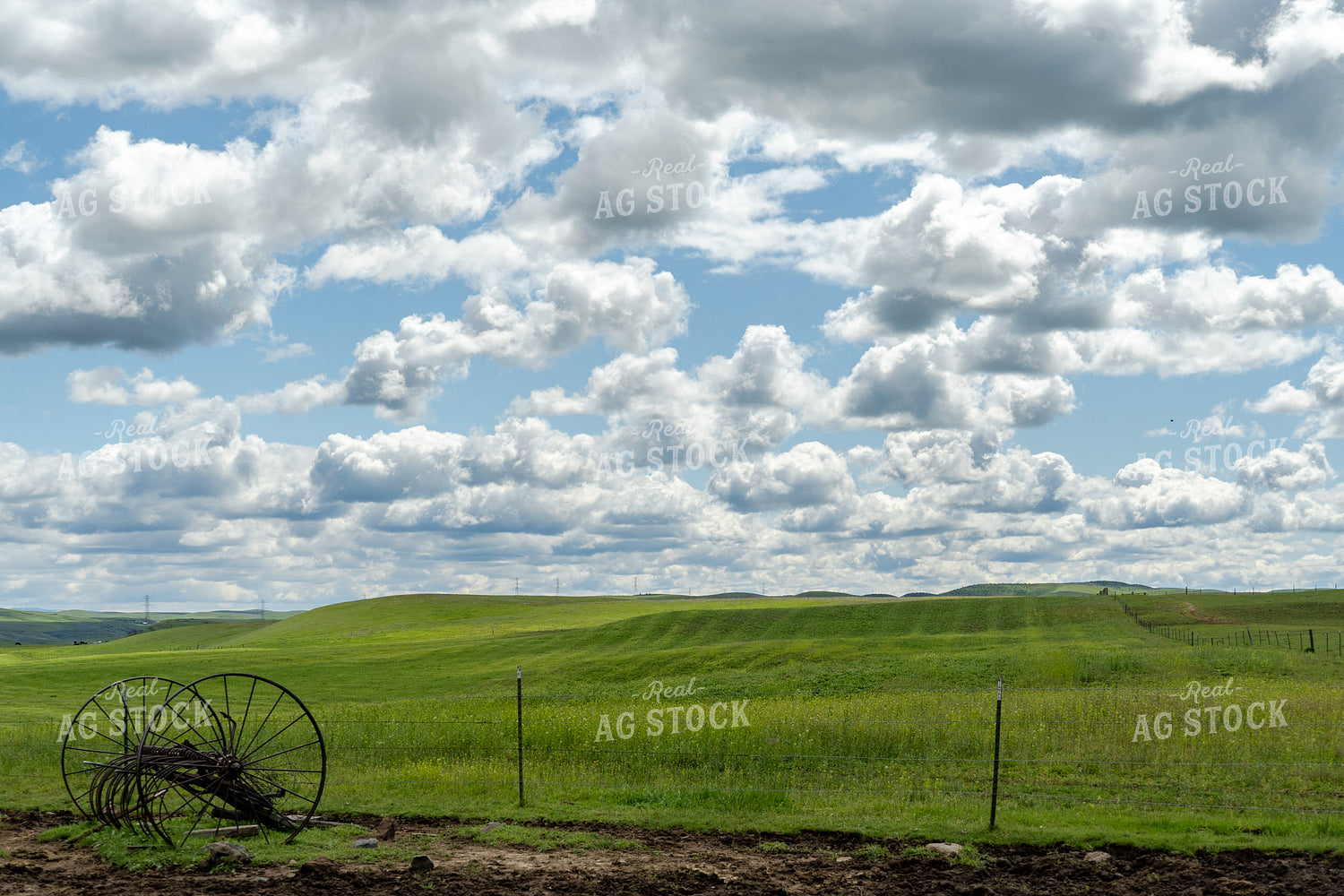Rural Landscape 65646
