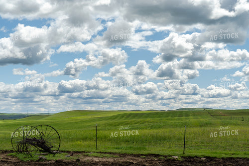 Rural Landscape 65646