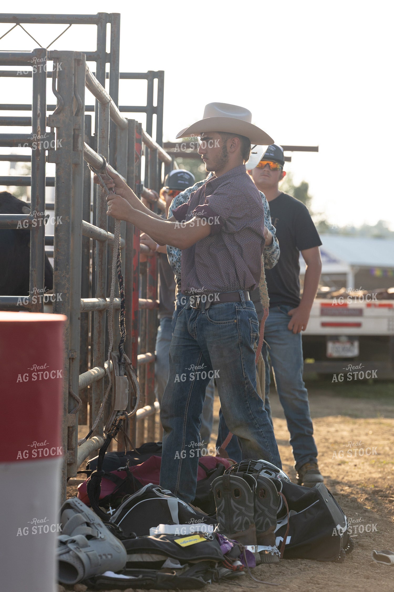 Rodeo 295128