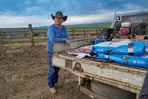 Farmer Feeding Cattle 65452