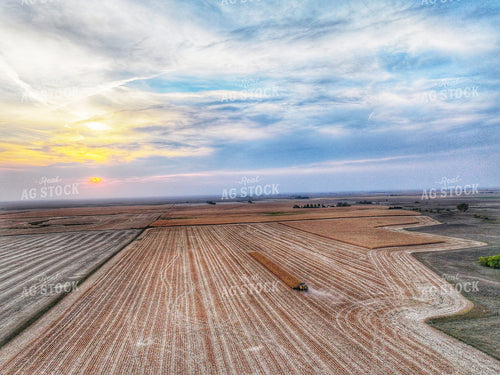 Aerial of Corn Harvest 141185