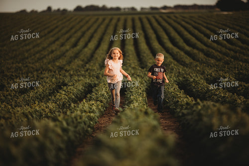 Farm Kids in Soybean Field 4570